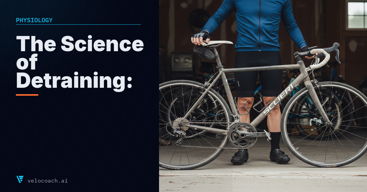 The Science of Detraining: What Actually Happens When You Stop Riding