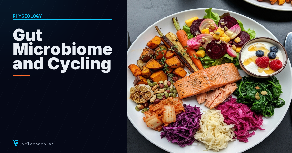 The Gut Microbiome and Cycling Performance: What the Research Says