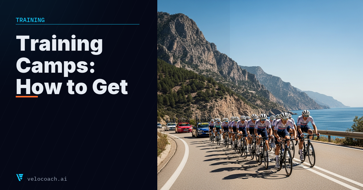 Training Camps: How to Get the Most Out of Them