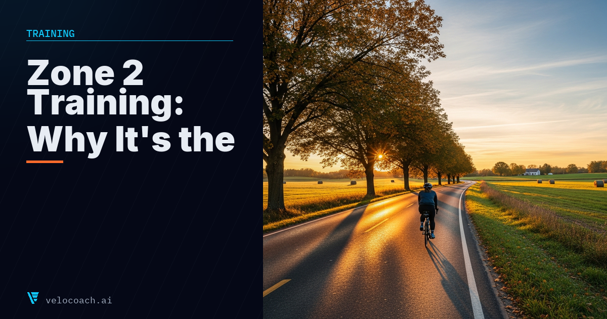 Zone 2 Training: The Definitive Guide for Cyclists Who Train with Power